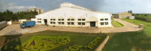 FORTIA PP Bag Plant